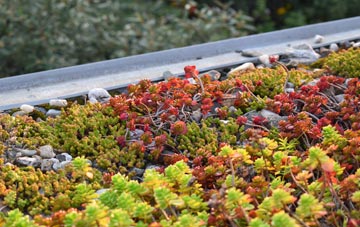 the cost of Halfpenny Green green roof installation